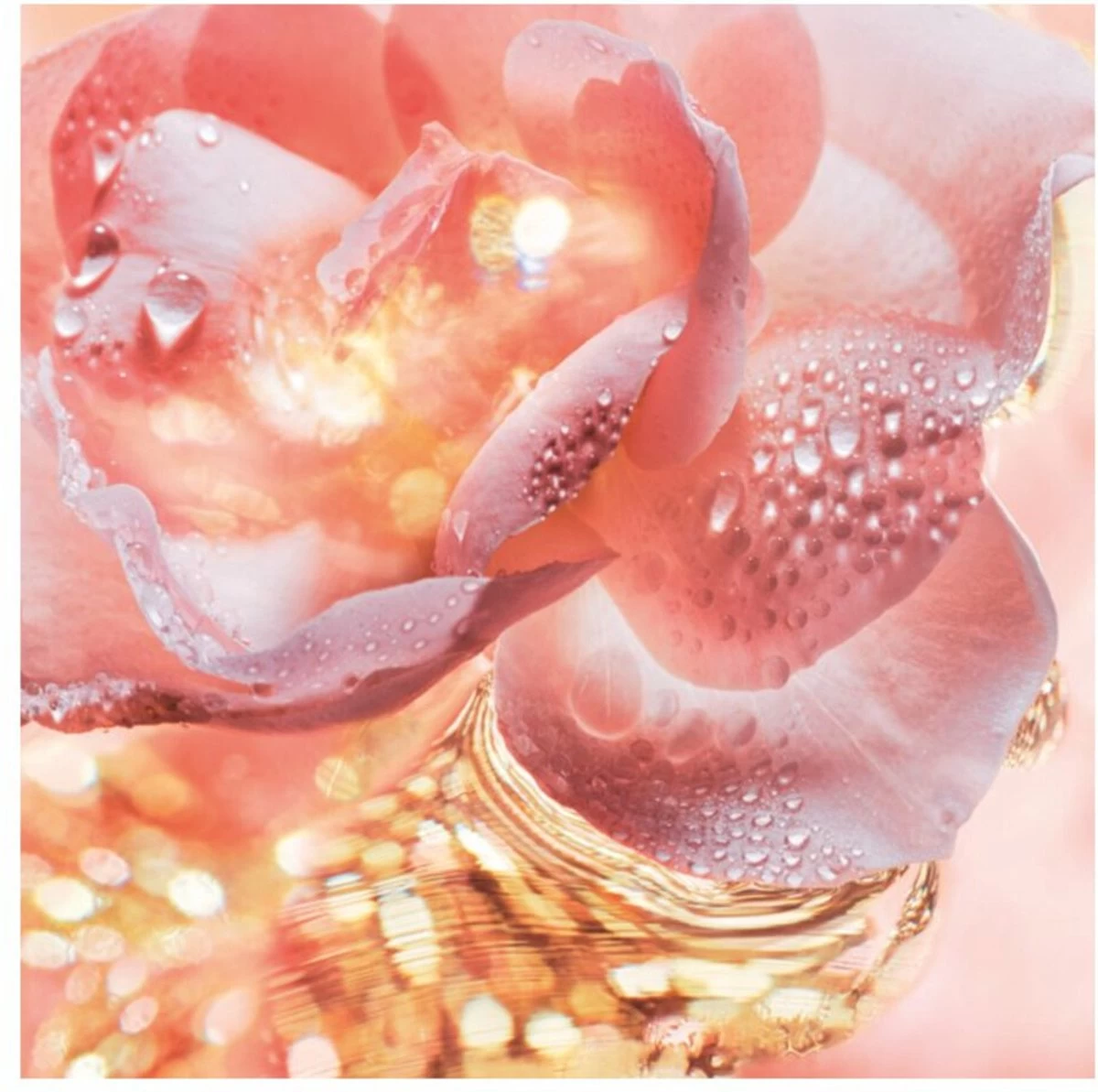 Bvlgari Rose Goldea 90 Ml - Eau De Parfum - Damesparfum - Afbeelding 2