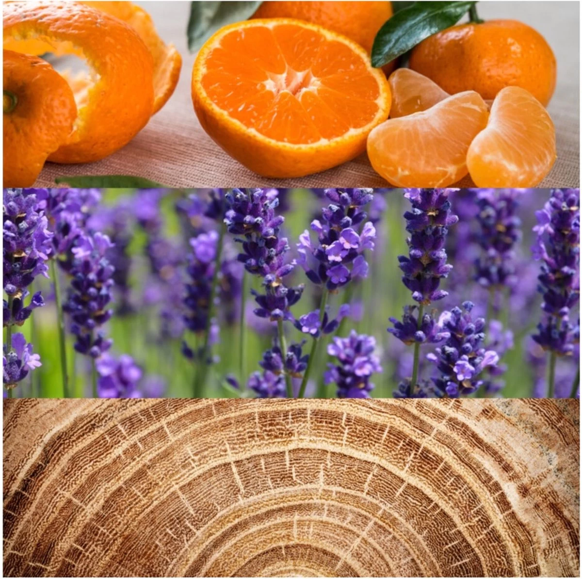 Calvin Klein Obsession 125 Ml - Eau De Toilette - Herenparfum - Afbeelding 3