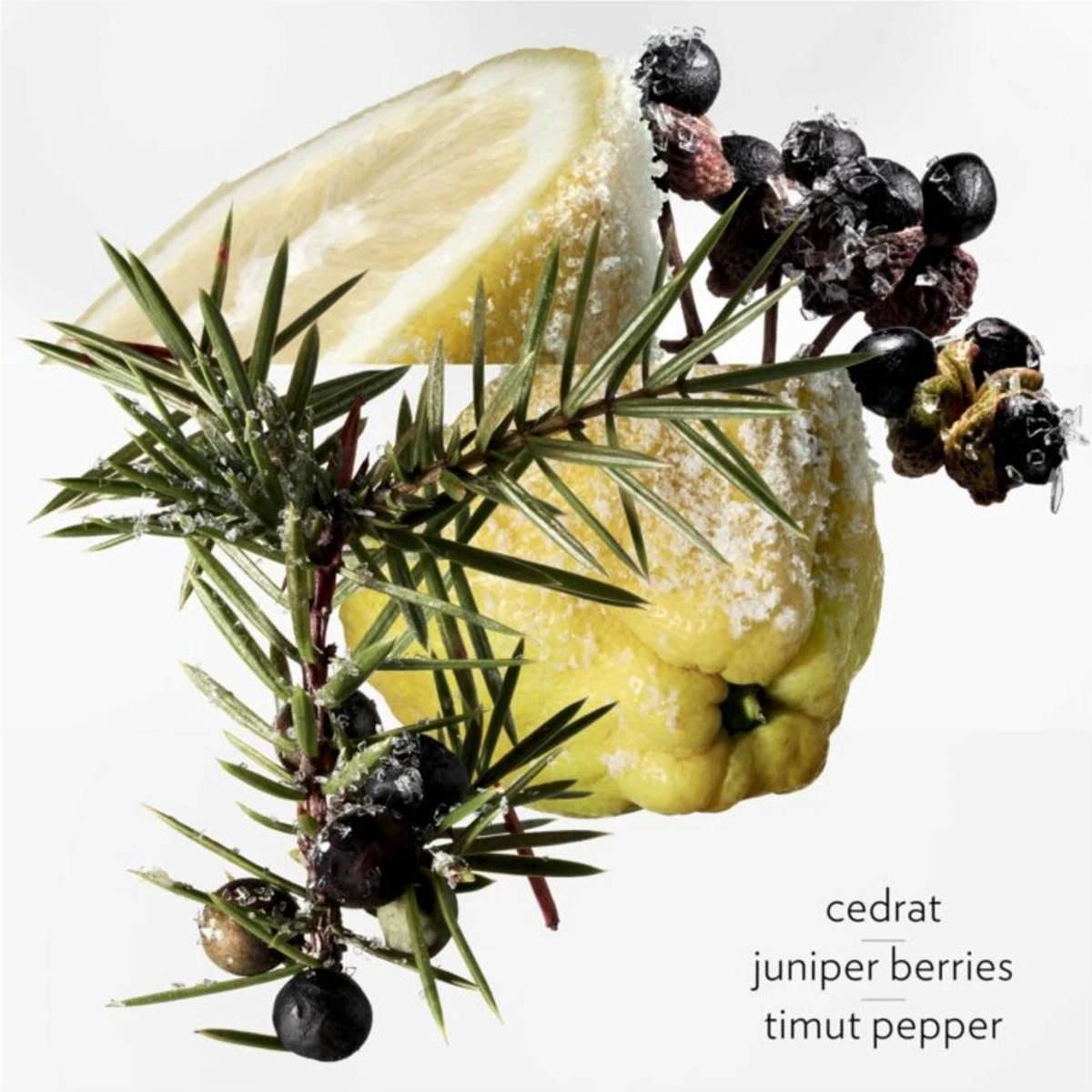 Hermes Terre D'Hermes Eau Givree Eau De Parfum 100 Ml - Afbeelding 2